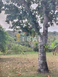 Fazenda em Mata de São João