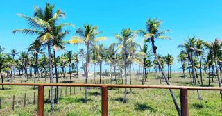 LOTE NO CONDOMINIO VILLE AL MARE