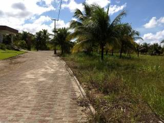 Terreno à venda, 1100 m² por R$ 75.000,00 - Pium - Nísia Floresta/RN