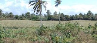 Terreno Barra dos Coqueiros