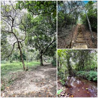 Chácara para venda zona rural de Paudalho