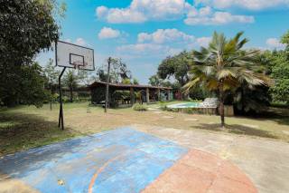 Chácara para venda zona rural de Paudalho