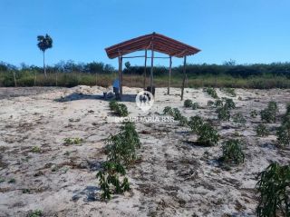 LOTE - BARRA GRANDE, CAJUEIRO DA PRAIA (PI)