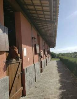 Lote no Fazenda Real II