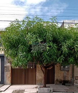 Casa no Ponto Novo