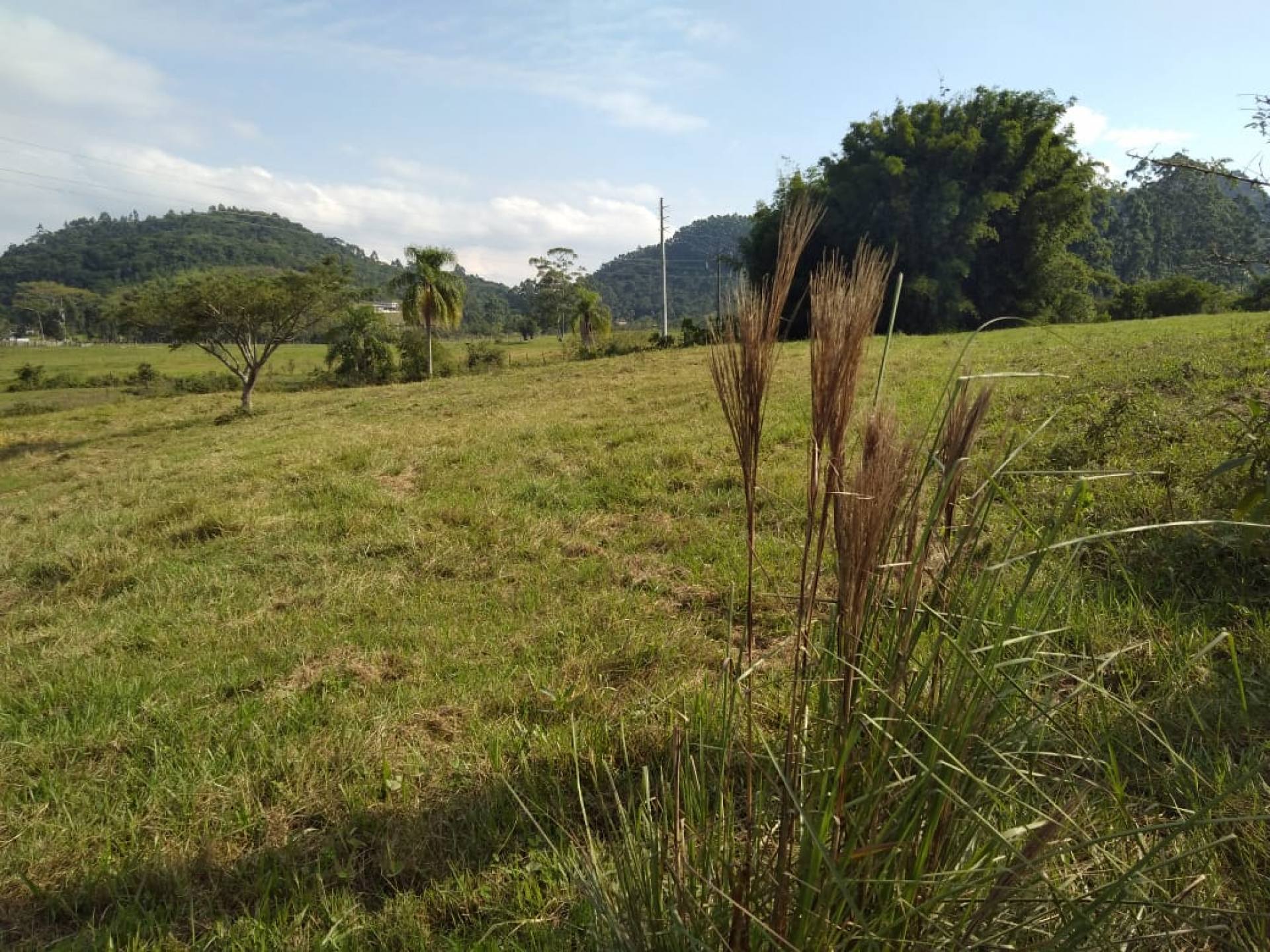 https://arquivos.sistemasupremo.com.br/401/imoveis/117894/g_20240516113604_0.jpg