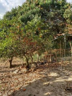 Casa Para Vender com 06 quartos no bairro Campo Eliseos em Betim