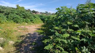 Lote / Terreno de Bairro Para Vender no bairro Nossa Senhora da Conceição em Contagem