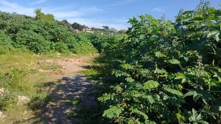 Lote / Terreno de Bairro Para Vender no bairro Nossa Senhora da Conceição em Contagem