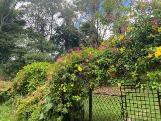 Lote / Terreno de Bairro Para Vender no bairro Santo Afonso em Betim