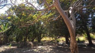 Lote / Terreno de Bairro Para Vender no bairro Jardim das Alterosas em Betim