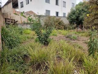 Lote / Terreno de Bairro Para Vender no bairro Duque de Caxias em Betim