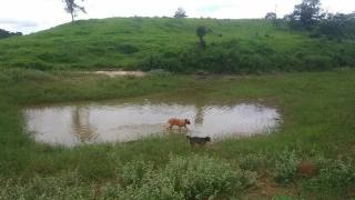 Lote / Terreno de Bairro Para Vender no bairro Andiroba em Esmeraldas