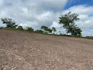 Lote / Terreno de Bairro Para Vender no bairro Centro em Mateus Leme