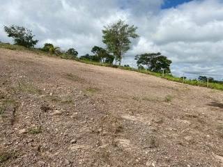 Lote / Terreno de Bairro Para Vender no bairro Centro em Mateus Leme