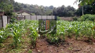 Lote / Terreno de Bairro Para Vender no bairro Cidade Satélite em Juatuba