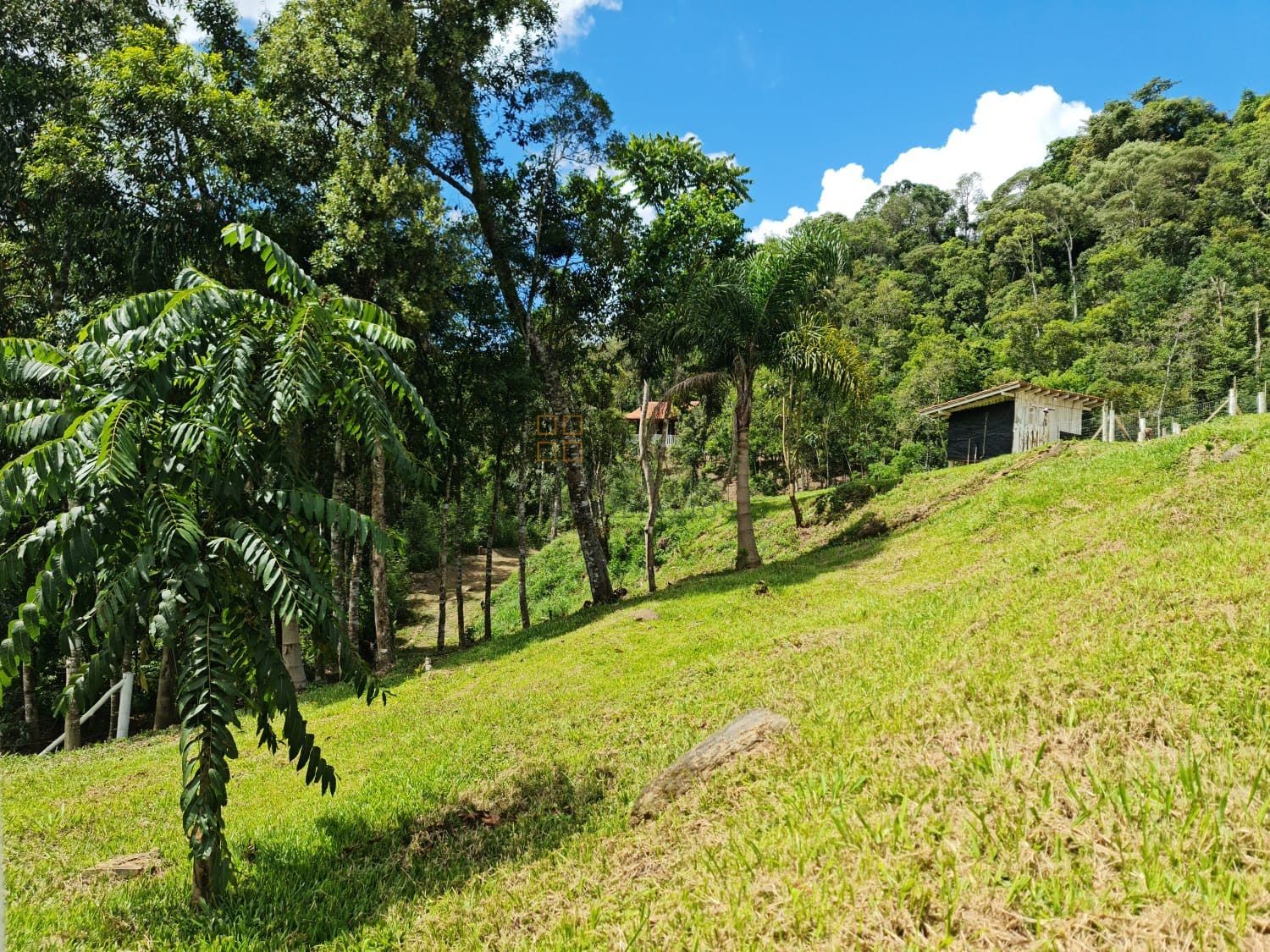 Sítio Para Vender com 5 quartos no bairro Alfredo Wagner em Alfredo Wagner