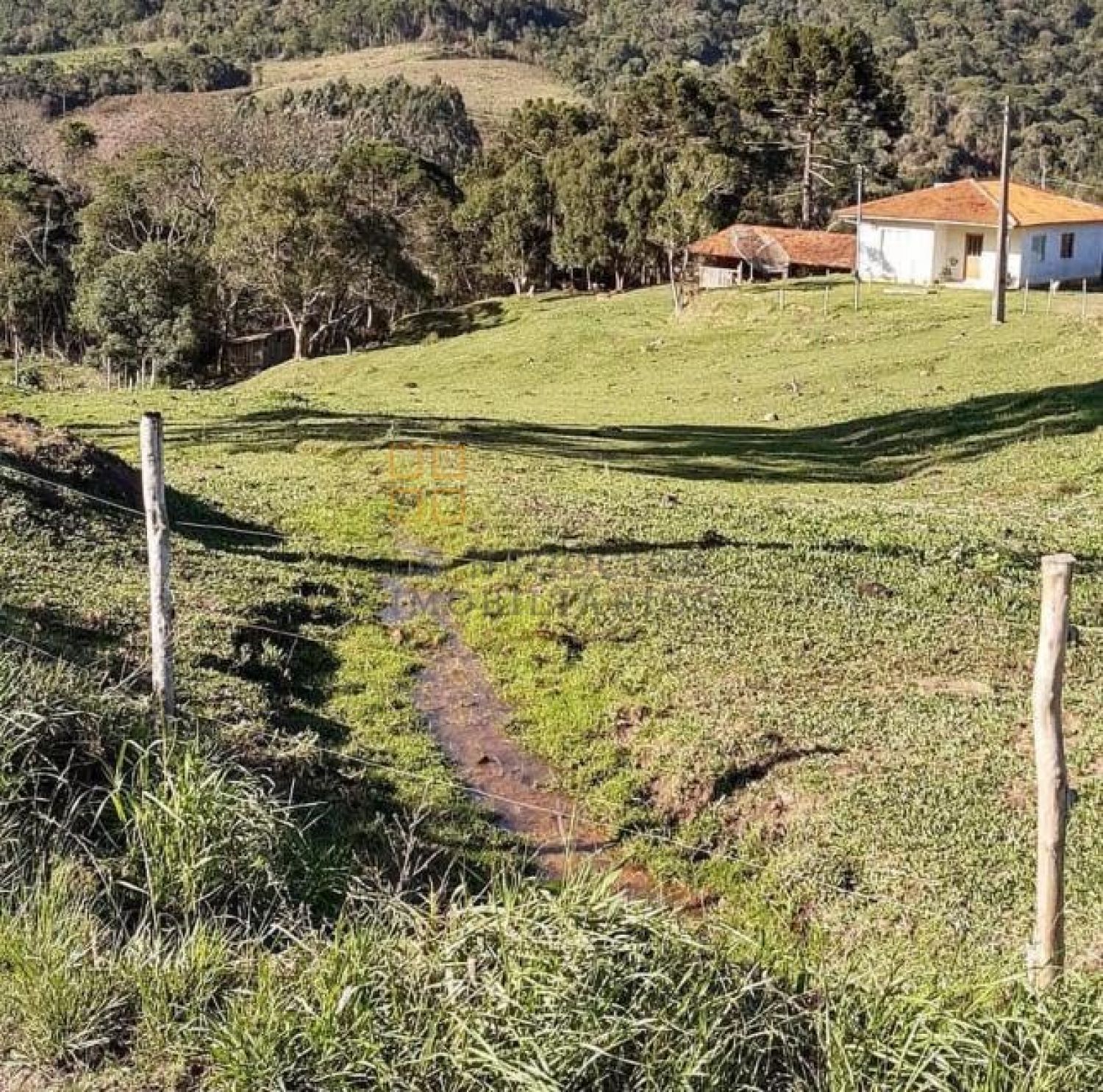 Sítio Para Vender com 3 quartos no bairro Barro Preto em Alfredo Wagner