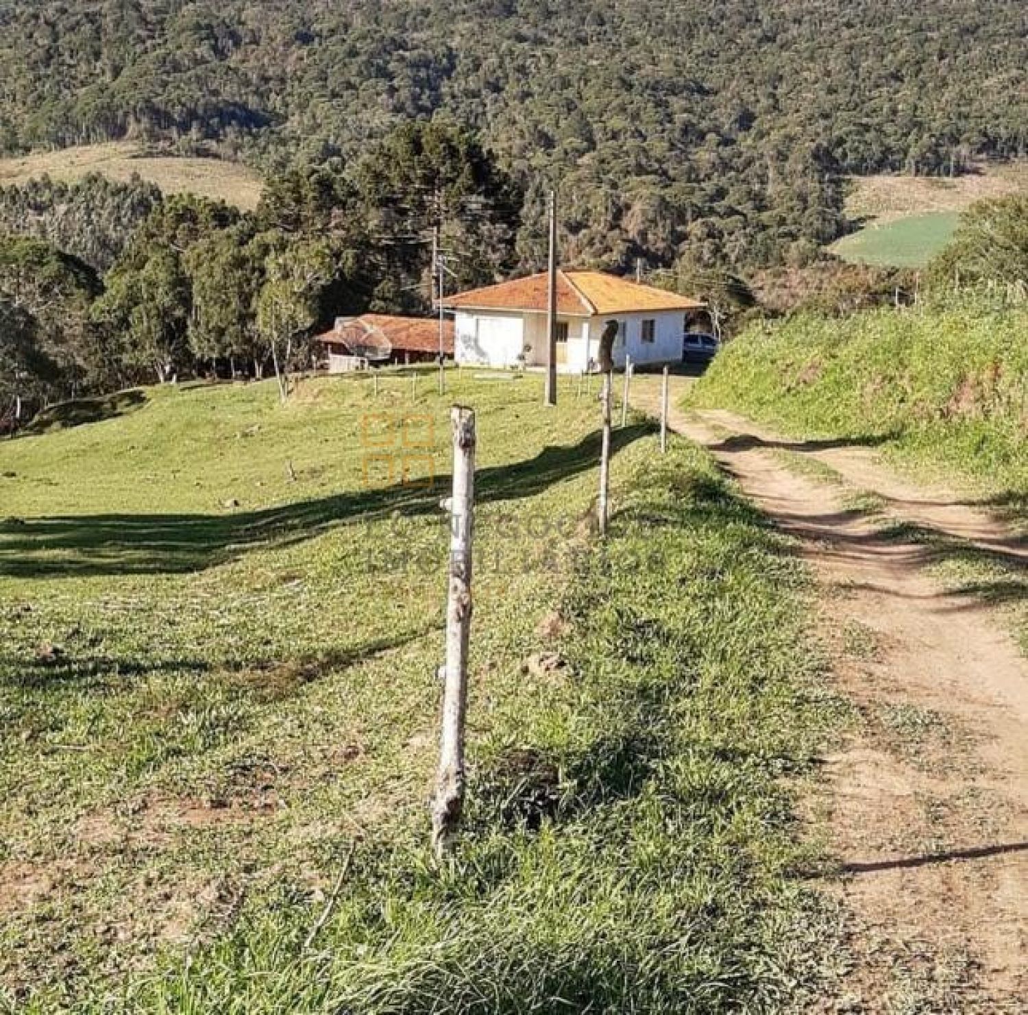 Sítio Para Vender com 3 quartos no bairro Barro Preto em Alfredo Wagner