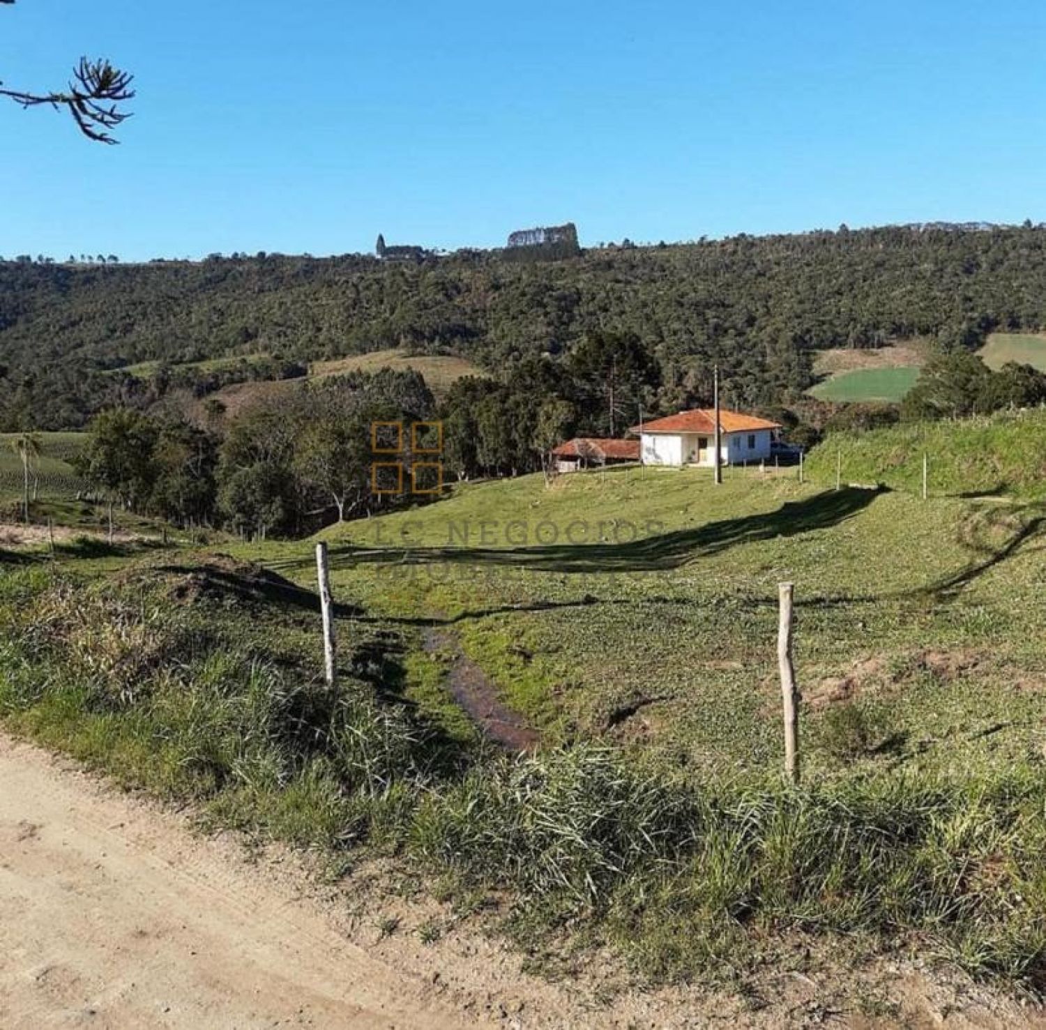 Sítio Para Vender com 3 quartos no bairro Barro Preto em Alfredo Wagner