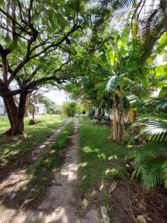 Chácara à venda no bairro Abrantes em Camaçari/BA