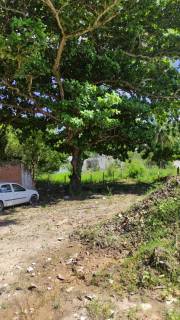 Terreno à venda no bairro Cajazeiras de Abrantes (Abrantes) em Camaçari/BA