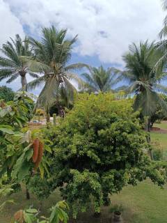 Casa à venda no bairro Vilas do Atlantico em Lauro de Freitas/BA