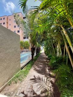 Apartamento à venda no bairro Jardim das Margaridas em Salvador/BA