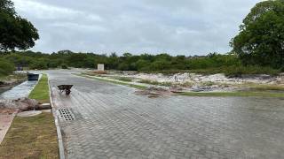 Terreno à venda no bairro Busca Vida (Abrantes) em Camaçari/BA