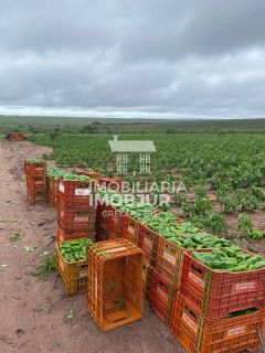 Terreno para Sitio