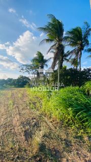 Terreno Medindo 06 Tarefas e Meia para Vender em São Domingos/SE