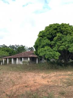 Sítio Para Alugar Povoado Gandu em Itabaiana