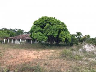 Sítio Para Alugar Povoado Gandu em Itabaiana