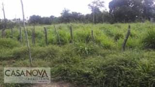 Fazenda em São Cristovão com 148 tarefas as margens do Vaza Barris