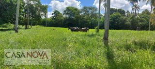 Fazenda em São Cristovão com 148 tarefas as margens do Vaza Barris